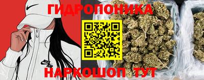jwh Тверь