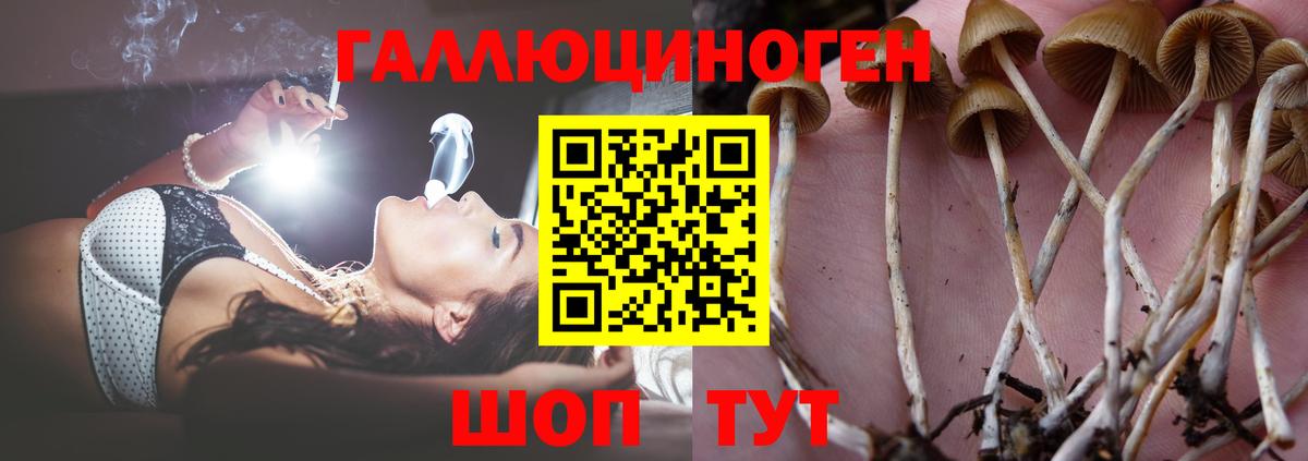 Галлюциногенные грибы мицелий  наркота  Тавда  Псилоцибиновые грибы мухоморы  Вход с VPN 